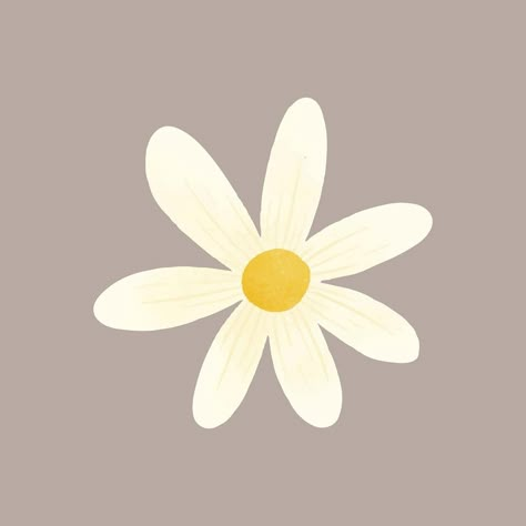 Margaritas Flores Aesthetic, Flower Aesthetic Sticker, Cute Flower Clipart, Daisy Flower Drawing, Flower Widget, Snapchat Drawing, Daisy Sticker, Daisy Drawing, Daisy Image