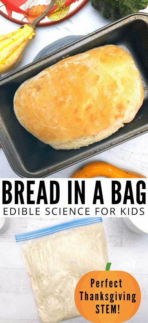 Fall Cooking Projects For Preschool, Easy Home Economics Recipes, Easy Recipes For Preschoolers To Make, Cooking Recipes For Preschoolers, Farm Science Activities Preschool, Harvest Theme Preschool, Easy Recipes For Kids To Make, Cooking Preschool, Bread In A Bag Recipe