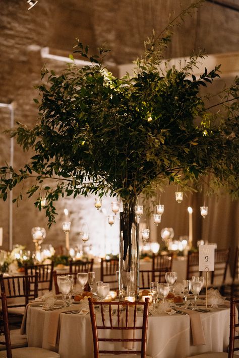 Tall green tree centerpieces with hanging candles for a summer wedding designed and created by Wild Stems at Front & Palmer in Philadelphia, PA. Venue is Front & Palmer. Catering by Feast Your Eyes. Lighting by Synergetic Sound, Inc. Photo by Julia Wade Photography. #weddingflorist #floraldesign #weddingcenterpiece #weddingflowers #philadelphiaweddings #philadelphiasummerwedding Tree Arrangement, Tree Wedding Centerpieces, Table Tree, Enchanted Forest Wedding, Tree Centerpieces, Tree Table, Hanging Candles, Green Tree, Tree Wedding