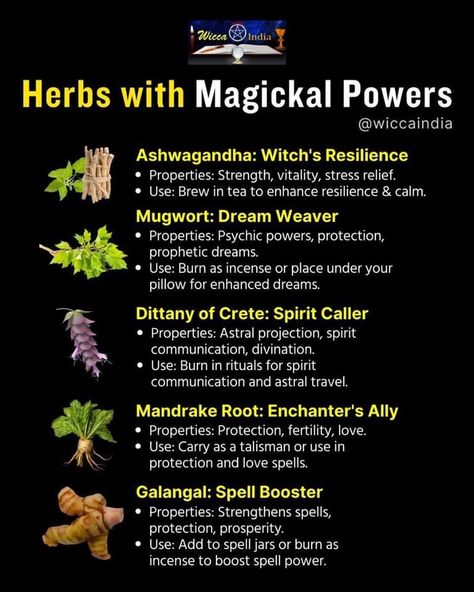 Glamour Magick Herbs, Protection Herbs Magick, Herb Properties, Alchemy Recipes, Crystal Shells, Latin Spells, Magical Herbs Witchcraft, Holistic Herbs, Native American Herbs