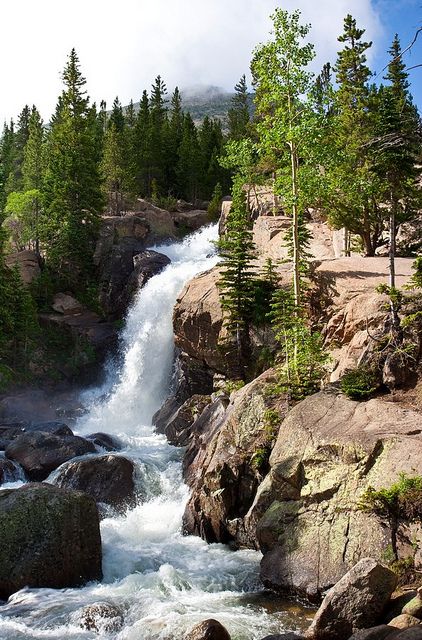 Rocky Mountain National Park Rocky Mountains Colorado, Colorado Rocky Mountains, Trip Planner, Water Falls, Beautiful Waterfalls, Rocky Mountain National, Rocky Mountain National Park, Alam Yang Indah, Pine Trees