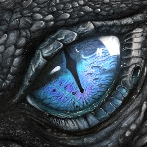 Dragon Eye Drawing, Dragon Medieval, Eye Poster, Frozen Castle, Regard Animal, Dragon Artwork Fantasy, Dragon Sketch, Clay Dragon, Dragon Pictures