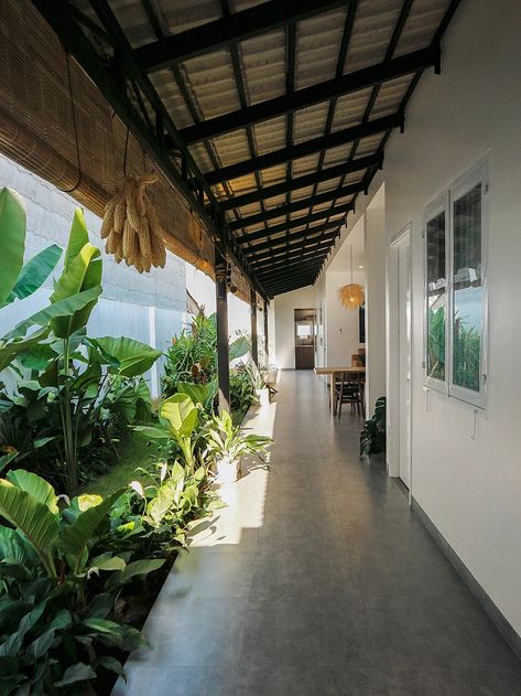 a lush tropical garden lines banh cam's country house in tây ninh, vietnam New Classic Living Room Luxury, Classic Living Room Luxury, Small Tropical House, New Classic Living Room, Modern Tropical House, Tropical House Design, Aesthetic Interior Design, Living Room Luxury, Garden Line