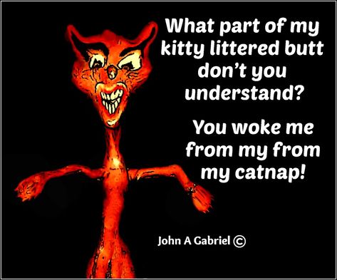 What part of my kitty littered butt... #cat #kitten #kitty #catnap #sleeping #awaken #angry #mad #funny #laugh #humor #smile #comedy #JAG Cat Scratch Game, Pool Billiards, Cat Scratch, Six Feet Under, Cat Scratching, Cat Nap, Cat Litter, Drawing Tips, Satire