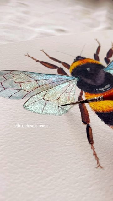 Dragonfly Drawing, Metallic Watercolor, Bumble Bee Art, Watercolor Dragonfly, Bee Drawing, Cats Art Drawing, Bee Painting, Art Tutorials Watercolor, December 29