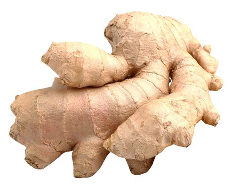 Ginger Roots, Growing Ginger, Tattoo Plant, Ginger Plant, Growing Garlic, Ginger Oil, Asian Grocery, Ginger Root, To Grow