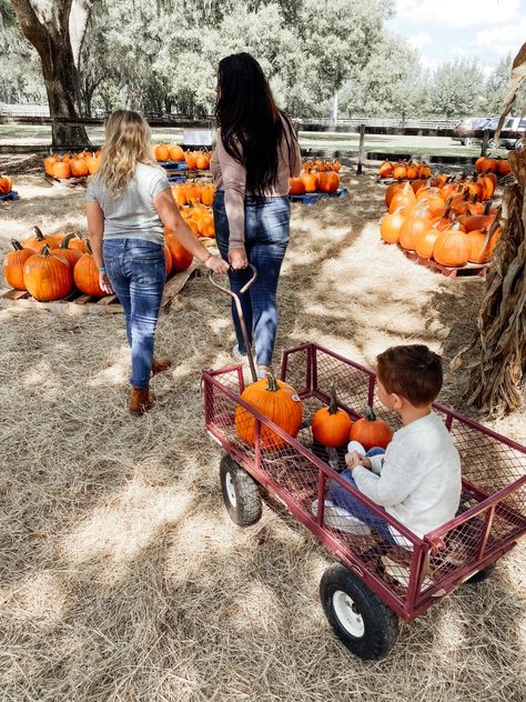 Pumpkin Patch Time – A Guide to Visiting a Pumpkin Patch with Kids – Kimmy Manzo Pumpkin Patch Kids, Fall Festivals, Florida Fashion, Pumpkin Picking, Patch Kids, Fall Festival, Like Crazy, Travel Information, 90 Degrees