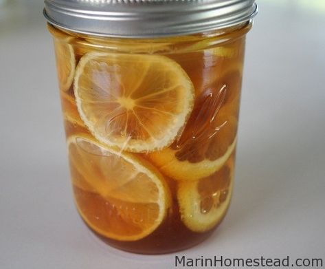 Ginger Lemon Honey Tea, Canker Sore Remedy, Honey Remedies, Honey And Lemon Drink, Honey Lemon Water, Best Cough Remedy, Ginger Detox, Tea For Colds, Honey Drink