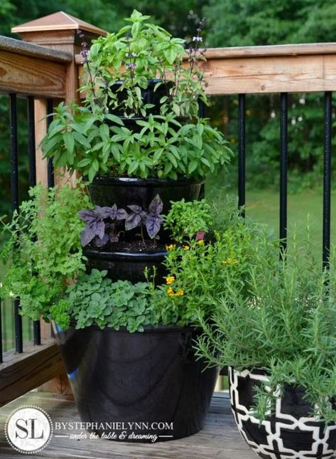 Stack a few bricks — or any other sturdy material — inside the largest planter so that the second tier has a pedestal to stand on. Make sure that whatever material you use to stack the planters leaves enough space for drainage. Fill the bottom planter with soil before adding a third tier. Patio Herb Garden, Herb Garden Pots, Herb Garden Planter, Herb Garden Ideas, Tiered Planter, Garden Shelves, Tower Garden, Vertical Herb Garden, Garden Wallpaper