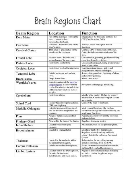 brain regions chart Brain Diagram, Brain Regions, Ap Psych, Anatomy Organs, Brain Parts, Ap Psychology, Brain Anatomy, Brain Science, Counseling Resources