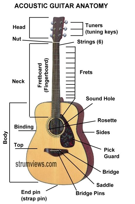 Guitar Lessons----Anatomy of an acoustic guitar Basic Chords Guitar, Guitar Classes, Basic Guitar Lessons, Music Theory Guitar, Guitar Lessons For Beginners, Guitar Chord Chart, Guitar Tuners, Learn To Play Guitar, Guitar Tips