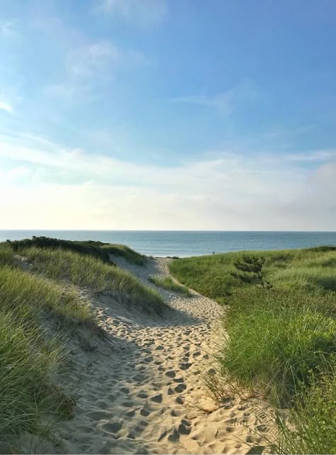 Beach Grass Aesthetic, Michigan Summer, Nantucket Island, Beach Aesthetic, Nature Aesthetic, Beautiful Places To Visit, Pretty Places, Beach Vibe, Nantucket