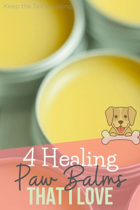 Dog Paw Salve, Paw Balm Recipe, Dog Paw Cream, Paw Cream, Bag Balm, Dog Balm, Pup Cup, Dog Paw Balm, Dog Paw Pads