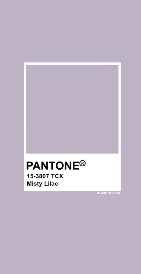 Lilac Pantone, Geometric Wallpaper Iphone, Misty Lilac, Color Inspiration Boards, Pantone Palette, Pantone Colour Palettes, Colors Inspiration, Brand Color Palette, Visual Aesthetics