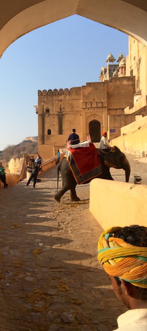 Riding up to the Amber Fort in Jaipur, India on an Elephant.   47th Birthday Rajasthan Snap, Jaipur Snap, Jaipur Snapchat Stories, Jaipur Aesthetic Pictures, Jaipur Asthetic Picture, Jaipur Aesthetic Story, Jaipur Photos, Jaipur India Photography, Aesthetic Jaipur