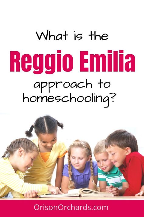 Teaching Styles, Reggio Emilia Classroom, Homeschool Materials, Reggio Emilia Approach, Infant Lesson Plans, Natural Learning, Reggio Inspired Classrooms, Reggio Emilia Inspired, Family Day Care