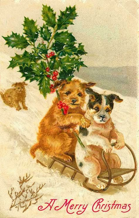 Vintage Christmas Cards Antique Christmas Cards, Victorian Christmas Cards, Images Noêl Vintages, Christmas Bears, Victorian Illustration, Christmas Image, Japan Illustration, Dog Greeting Cards, Vintage Christmas Images