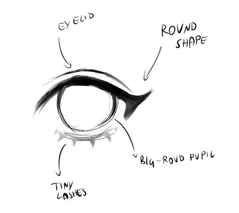 Round Eye Drawing Reference, Anime Eye Shapes Reference, How To Draw Round Eyes, Wink Reference Drawing, How To Draw Aegyo Sal, Round Anime Eyes, Round Eyes Drawing, Soft Eyes Drawing, How To Draw Lashes