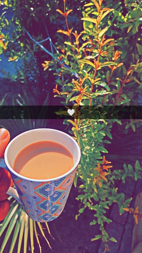 Morning Chai Snap, Flower Dpz For Whatsapp, Flower Dpz, Snap Food Home, Fake Photo Sick, Green Screen Images, Best Fb Profile Pic, Bullet Bike, Army Couple Pictures