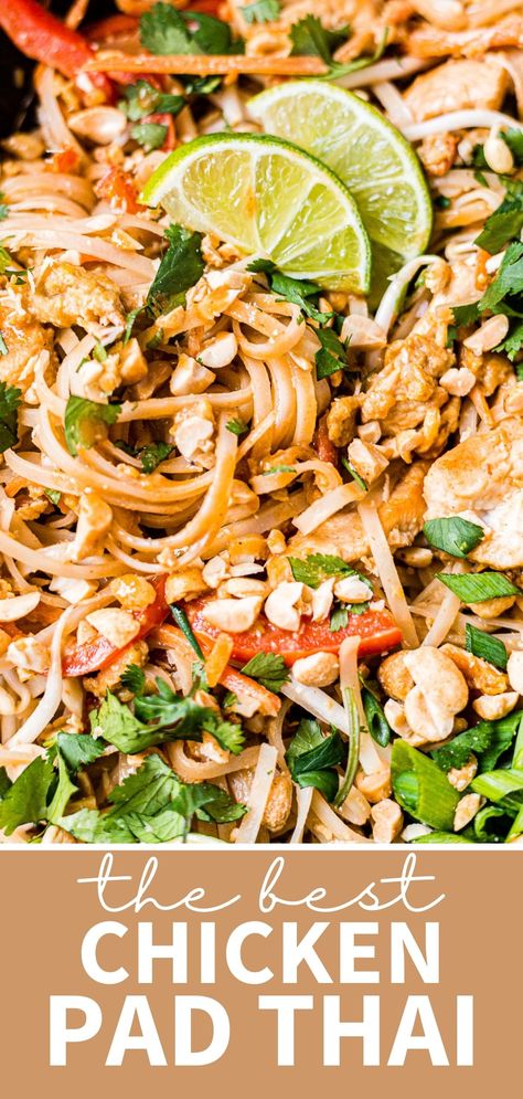 Chicken Pad Thai Recipe, Pad Thai Sauce, Chicken Pad Thai, Pad Thai Noodles, Thai Recipe, Pad Thai Recipe, Thai Noodles, Asian Dishes, Thai Recipes