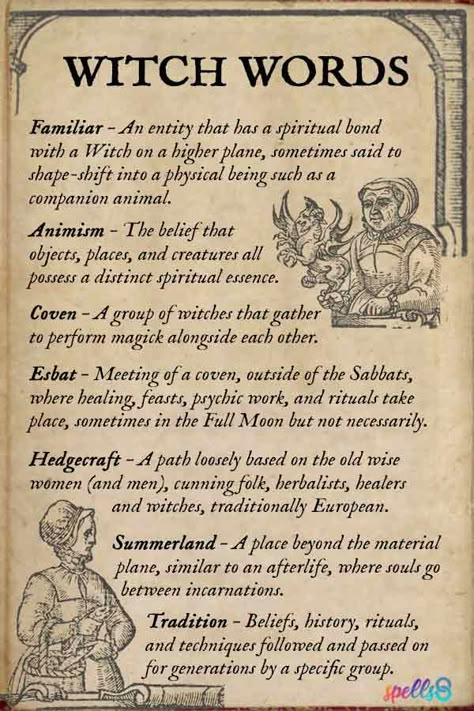 Witch Vocabulary: A List of 60+ Pagan Words and Terms – Spells8 How To Draw Witchy Things, Beginner Witchcraft, Spells Magic, Magia Das Ervas, Witch Things, Wiccan Magic, Grimoire Book, Magic Spell Book, Witch Spirituality