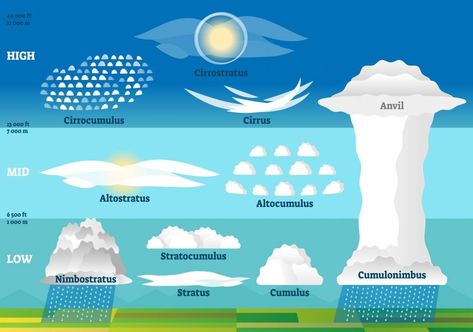 How are clouds formed? Water Cycle Experiment, Cloud Types, Marine Images, Penguin Awareness Day, World Wetlands Day, Cloud Type, All About Water, Urban Heat Island, Animal Adaptations