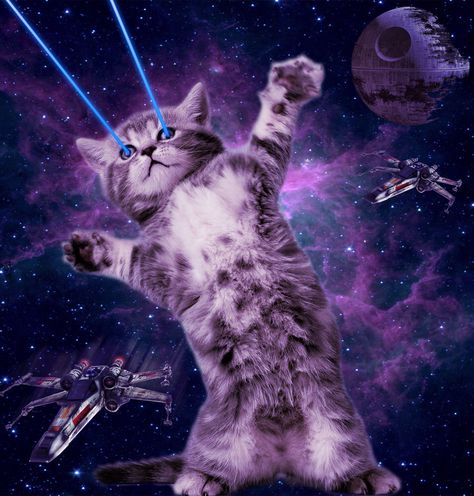 Space cat Trippy Cat, Wallpaper Gatos, Cat Laser, Hipster Cat, Galaxy Cat, Cat Background, Psy Art, Owning A Cat, Space Cat