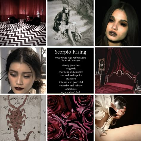 Scorpio rising / ascendent zodiac sign mood board and aesthetic Scorpio Mood Board, Scorpio Rising Style, Rising In Scorpio, Zodiac Scorpio Aesthetic, Scorpio Rising Woman, Scorpio Sun Aesthetic, Scorpio Rising Makeup, Zodiac Mood Board, Scorpio Vibes Aesthetic