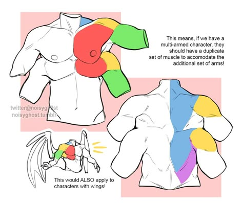 Monster Anatomy, Learning Anatomy, Body Drawing Tutorial, Body Reference Drawing, 캐릭터 드로잉, Concept Art Drawing, Anatomy Drawing, Figure Drawing Reference, Anatomy Reference