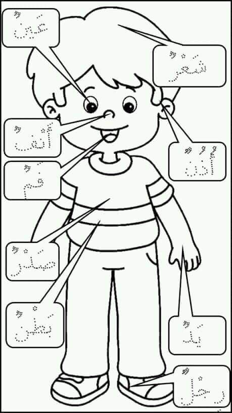 Anggota badan Arabic Handwriting, Body Parts Preschool, Muslim Kids Activities, Arabic Alphabet Letters, Islamic Kids Activities, Learn Arabic Online, Arabic Worksheets, Learn Arabic Alphabet, Learning English For Kids