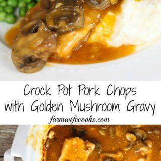 Crock Pot Pork Chops with Golden Mushroom Gravy - The Farmwife Cooks Mushroom Gravy Pork Chops, Mushroom Soup Pork Chops, Slow Cooker Pork Chops Recipes, Crock Pot Pork Chops, Golden Mushroom, Golden Mushroom Soup, Sausage Crockpot, Pork Chop Recipes Crockpot, Mushroom Pork Chops