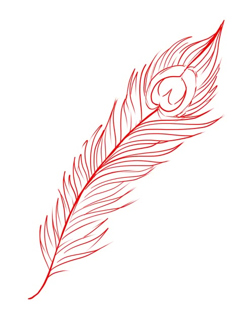 Peacock Feathers Sketch, Peacock Feather Tattoo Stencil, Peacock Feather Outline, Feather Tattoo Stencil, Peacock Feather Tattoo Design, Peacock Feather Stencil, Small Peacock Tattoo, White Feather Tattoos, Tattoo Peacock