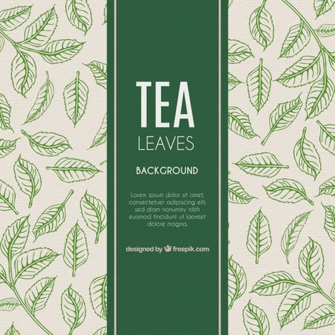 Green Tea Branding, Tea Leaves Illustration, Tea Pattern, Tea Tag, Product Packing, Web Design Examples, Tea Packaging Design, Leaves Background, Leaves Illustration