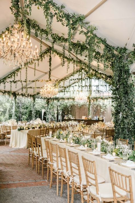 Light And Dark Green Wedding, Wedding Green Table Decor, Wedding Green And Champagne, Sage Garden Wedding, Olive White Wedding, Sage Wedding Aesthetic, Modern Woodsy Wedding, Green House Wedding Receptions, Wedding With Lots Of Greenery