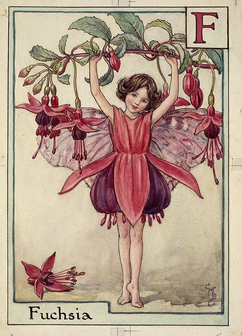 The Fuchsia Fairy © The Estate of Cicely Barker Flower Fairies Books, Fairy Paintings, Fairy Illustration, Fairy Artwork, Cicely Mary Barker, Vintage Fairies, Fairy Book, Flower Fairies, Fairytale Art