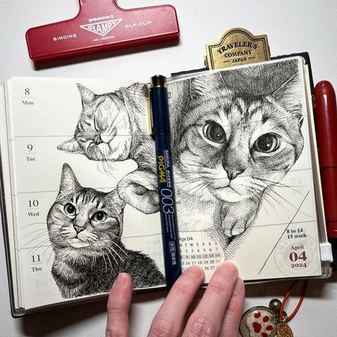 川井いねこ - Ineko Kawai (@kawai_ineko.art) • Instagram photos and videos Cat Photo Reference, Art Animals Drawings, Illustrative Journal, Traditional Art Tips, Art Instagram Account, Ipad Sketchbook, Drawing A Cat, Pet Sketch, Sketchbook Ideas Inspiration