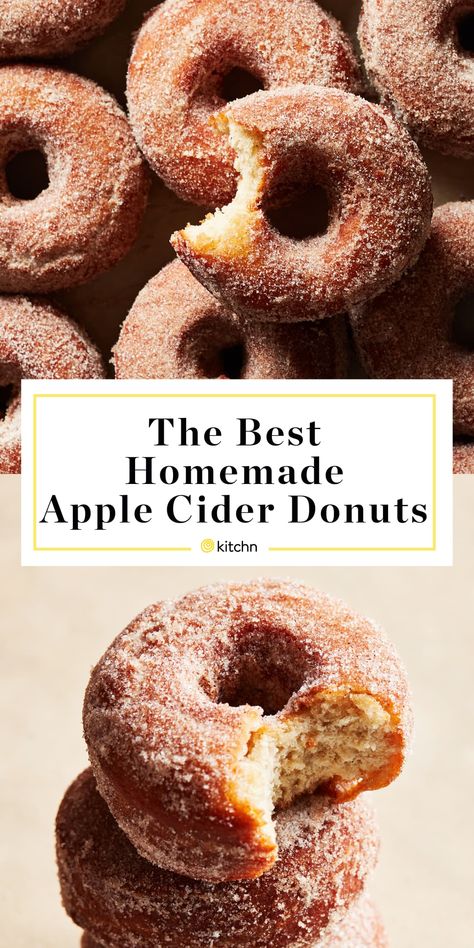 How to Make the Best Apple Cider Doughnuts at Home | Kitchn Apple Cider Doughnut Recipe, Donuts Fried, Cider Donuts Recipe, Apple Cider Donuts Recipe, Fried Apple, Best Apple Cider, Homemade Apple Cider, Donut Recipe, Donuts Recipe