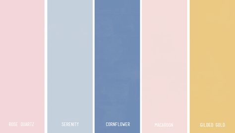 Rose Quartz & Serenity Wedding Inspiration Color Palette | My Wedding Favors | @myweddingfavors Rose Quartz And Serenity Wedding, Style Tips And Tricks, Serenity Color, Blue Boutonniere, Rose Quartz And Serenity, Romantic Wedding Colors, Romantic Colors Palette, Rose Quartz Serenity, Rose Quartz Color