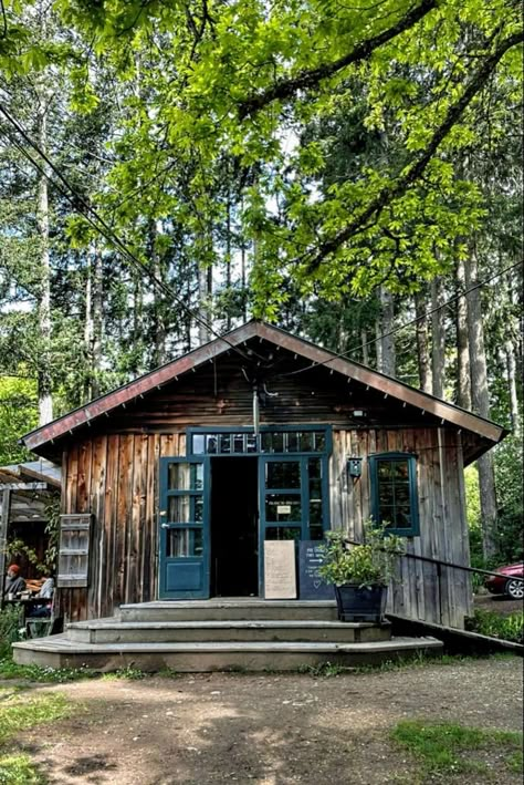 Camp Redwood, Meg Mccaffrey, Hiking Patagonia, Granola Life, Cabin Woods, American Countryside, Summer Camp Aesthetic, Country Living Decor, Slasher Summer