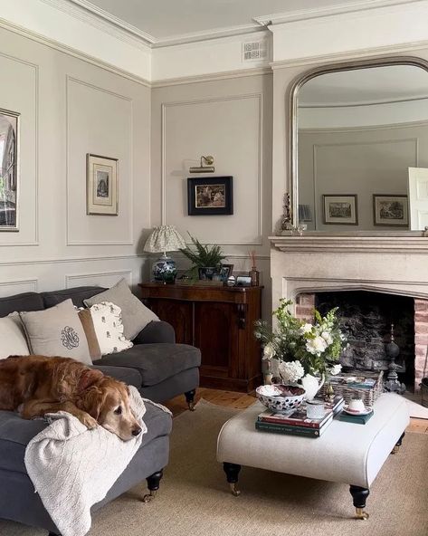 French Country Sitting Room, Country Sitting Room, Best Mushroom Paint Colors, Farrow And Ball Living Room, Lounge Vibes, Soothing Bedroom, Skimming Stone, Oval Room Blue, Mushroom Paint