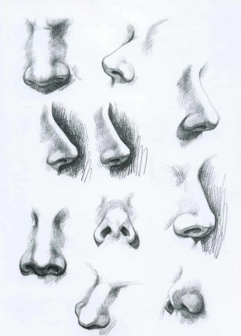 10 Amazing Nose Drawing Tutorials & Ideas - Brighter Craft Noses Sketch, Realistic Nose Drawing, Nose Sketch, Realistic Eye Drawing, Drawing Eyes, Nose Drawing, Drawing Faces, Urban Sketchers, Sketchbook Art