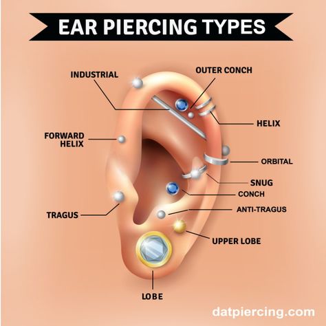 Piercing Diagram, Ear Piercing Diagram, Ear Piercing Places, Ear Piercing Names, Outer Conch Piercing, Piercing Types, Ear Piercings Industrial, Ear Peircings, Ear Piercings Chart