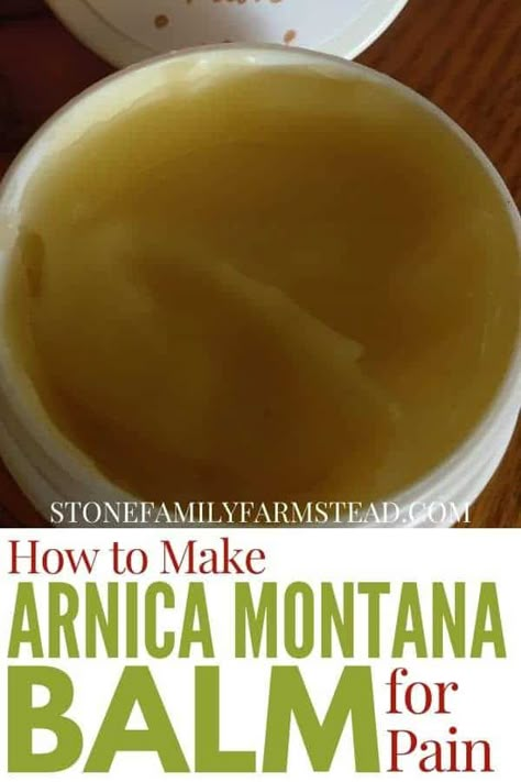 Dried Arnica Flower Uses, Arnica Flower Uses, Diy Arnica Salve, Arnica Salve Recipe, Arnica Benefits, Herb Flowers, Herbal Salve Recipes, Arnica Salve, Homestead Diy