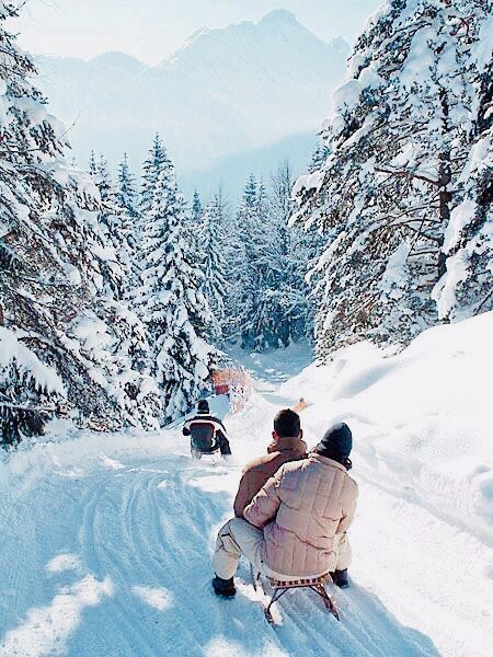 #sled #winter #snow #christmas Winter Szenen, Ski Season, Winter Love, Brasov, Winter Scenery, Winter Beauty, Winter Pictures, Winter Wonder, Winter Aesthetic