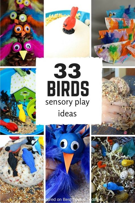 33 sensory play ideas with birds for toddlers and preschoolers Birds Preschool, Preschool Birds, April Themes, Bird Activities, Bird Study, Birds Theme, Play Ideas For Kids, North American Birds, American Birds