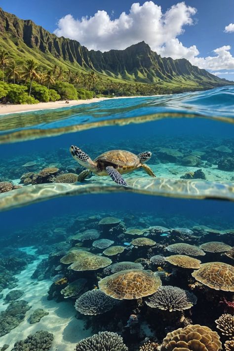 🌊 Paradise Preserved: Marine Conservation Efforts in Hawaii 🐢 Conservation Aesthetic, Ocean Biome, Marine Aesthetic, Mountain Ecosystem, Marine Species, Marine Photography, Hawaii Activities, Ocean Habitat, Ocean Ecosystem