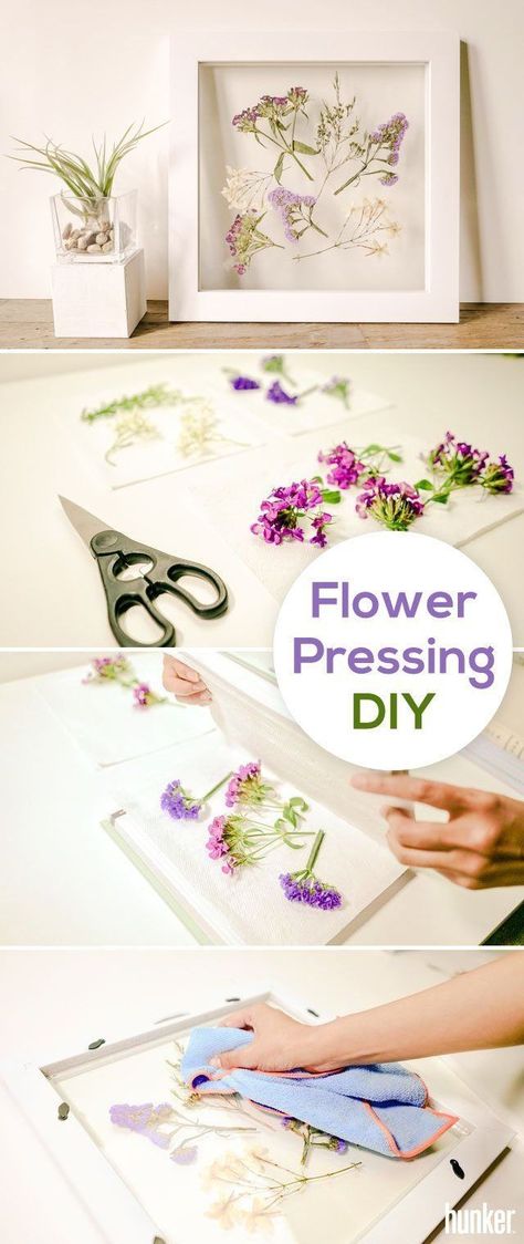 Leaf Pictures, Pressed Flowers Diy, Pressing Flowers, Flower Pressing, Diy Hanging Shelves, Minimalist Frame, Pressed Flower Crafts, Fleurs Diy, Flower Press