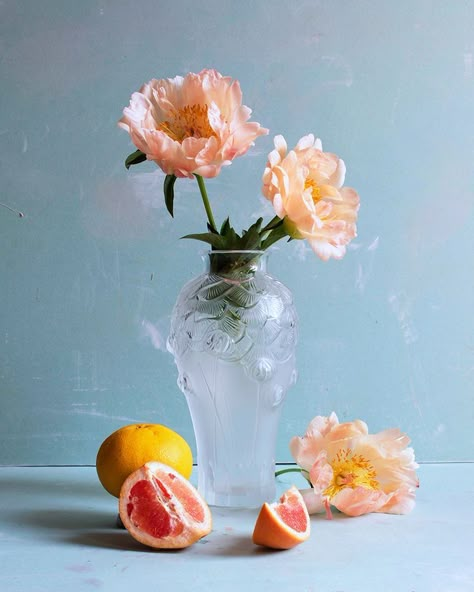 Stillife Photography, Still Life References, Still Life Reference, Life Reference, Still Life Pictures, Life Drawing Reference, Glass Photography, Still Life Flowers, Still Life Photos