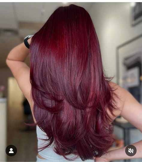 Blonde Face Framing Highlights Red Hair, Cheery Red Hair Colour, Aubergine Hair Color, Cherry Red Hair Color, Wine Red Hair Color, Fall Red Hair, Cherry Cola Hair Color, Red Hair Color Ideas, Dark Red Hair Color