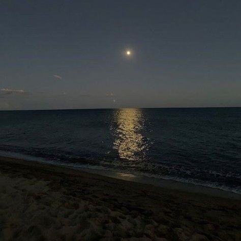 Beach Night Aesthetic, Andrew Barth Feldman, No Hard Feelings, Moon Beach, Aesthetic 2023, Ocean At Night, Beach At Night, Beach Night, Party Girl